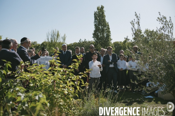 Des oliviers en mémoire d Ilan Halimi