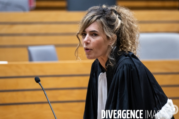 Albi : proces cedric jubillar