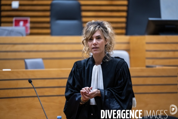 Albi : proces cedric jubillar