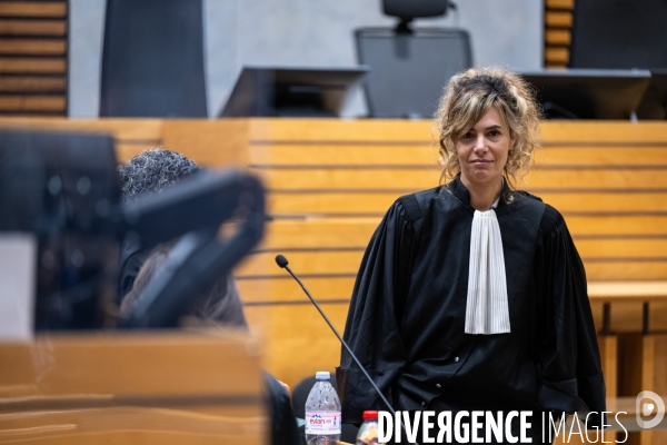 Albi : proces cedric jubillar