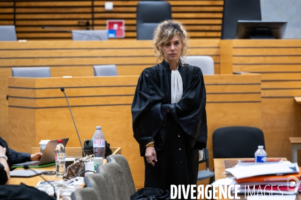 Albi : proces cedric jubillar