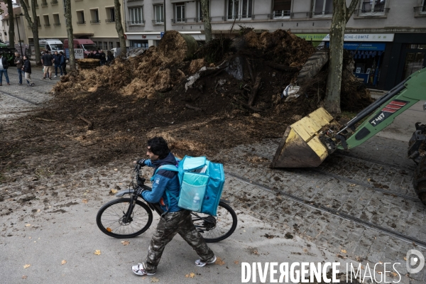 Manifestation des agriculteurs a Dijon