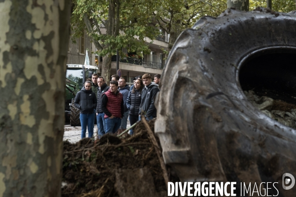 Manifestation des agriculteurs a Dijon