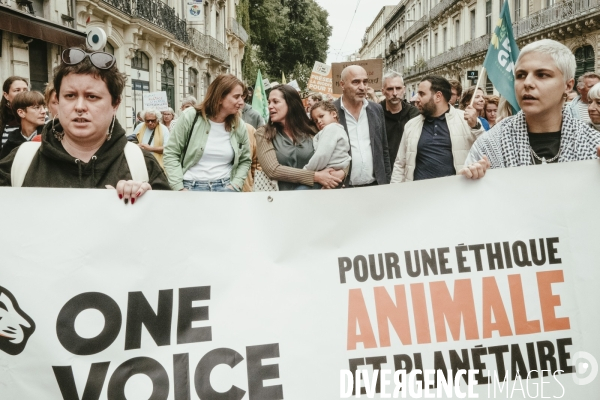 Marche des resistances, Montpellier, 28.09.2025