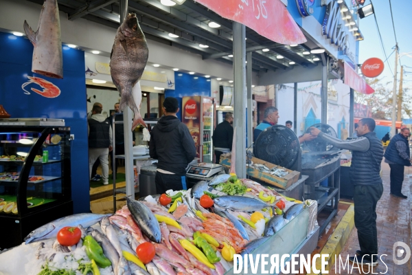 Tipaza / un Restaurant de Poisson