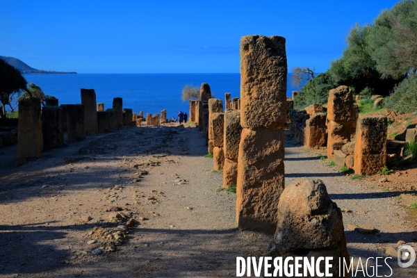 Tipaza / les Ruines Romaines
