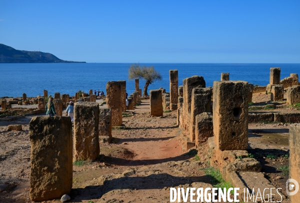 Tipaza / les Ruines Romaines