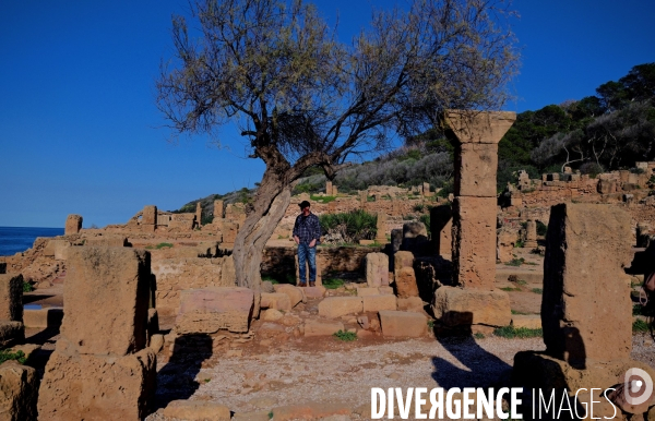 Tipaza / les Ruines Romaines