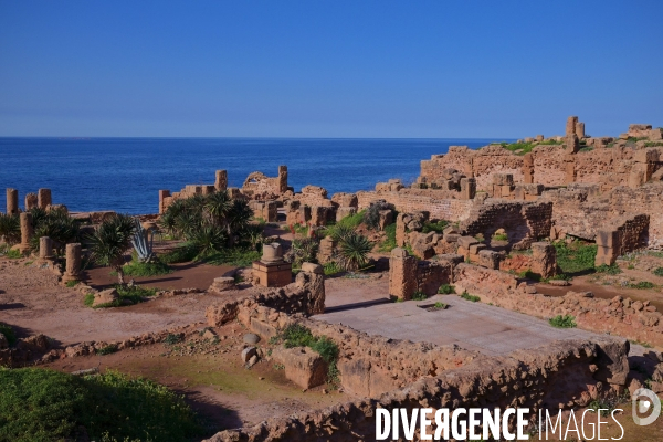 Tipaza / les Ruines Romaines