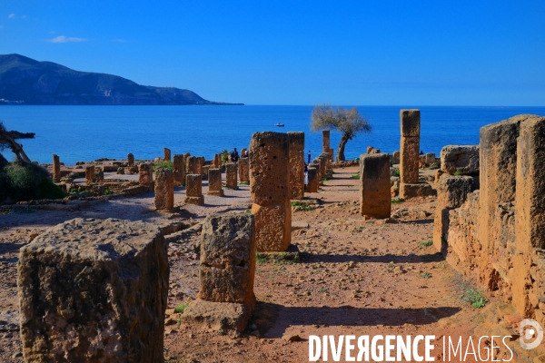 Tipaza / les Ruines Romaines