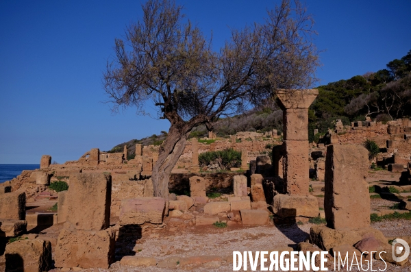 Tipaza / les Ruines Romaines