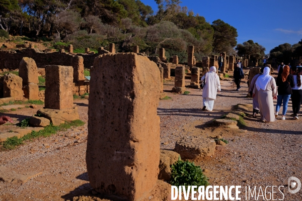 Tipaza / les Ruines Romaines