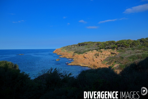 Tipaza / les Ruines Romaines