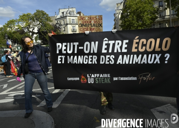 Marche des résistances, Paris