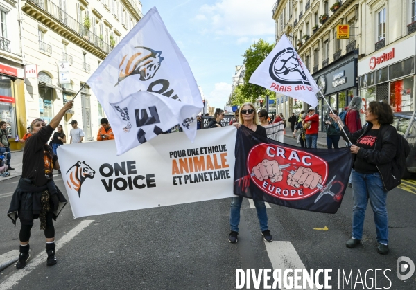 Marche des résistances, Paris