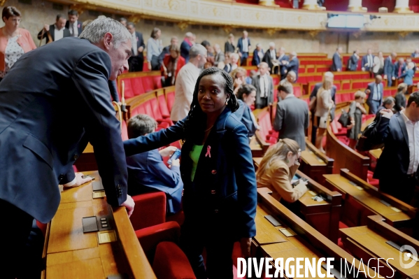 Nomination du Bureau de l Assemblée nationale / Election des 6 vice présidents et des 3 questeurs