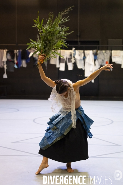 PARTERRE de Volmir Cordeiro