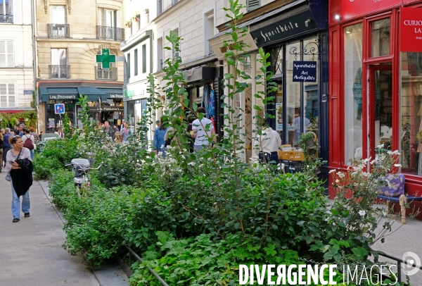 Illustration Septembre 2025