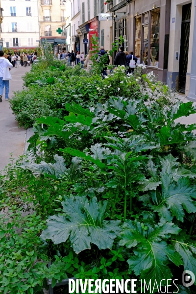 Illustration Septembre 2025