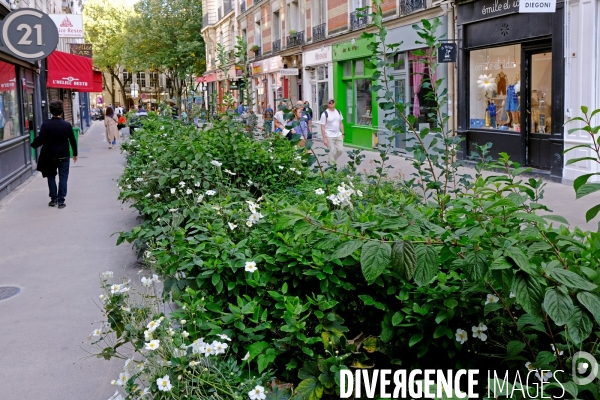 Illustration Septembre 2025