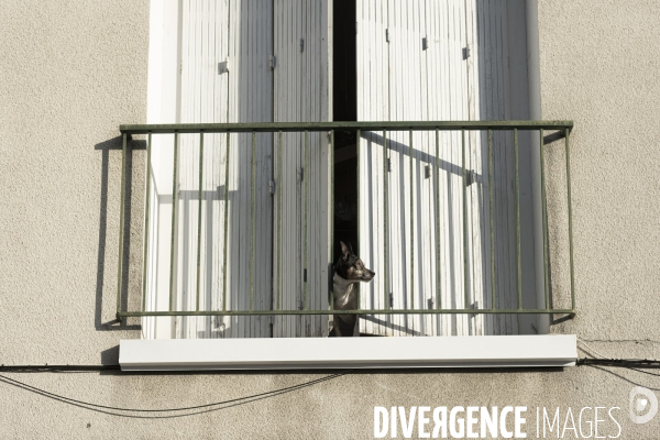 Canicule à Perigueux avec les saisonniers