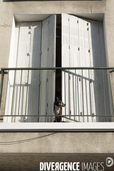 Canicule à Perigueux avec les saisonniers
