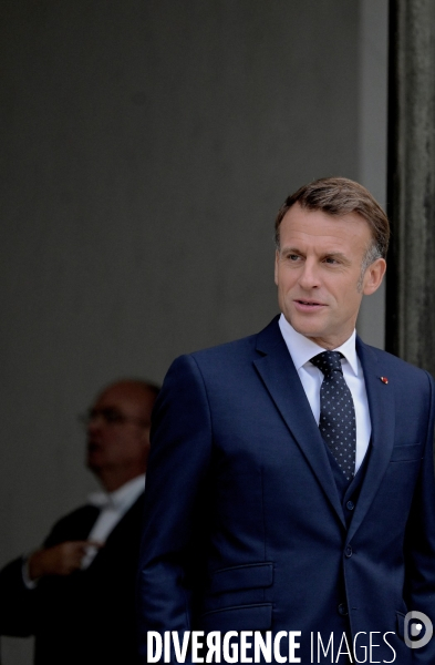 Emmanuel Macron à l elysée  