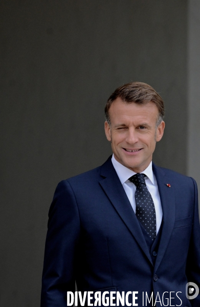 Emmanuel Macron à l elysée  