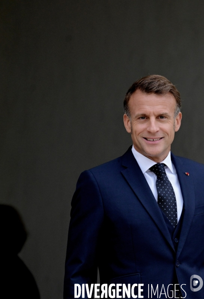 Emmanuel Macron à l elysée  