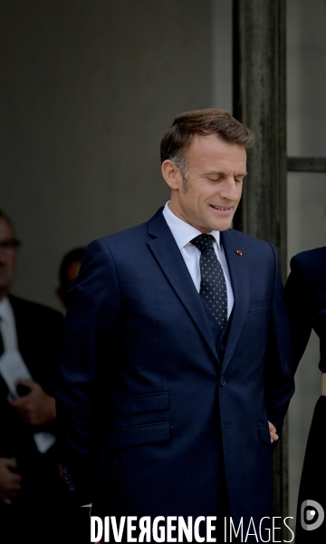 Emmanuel Macron à l elysée  