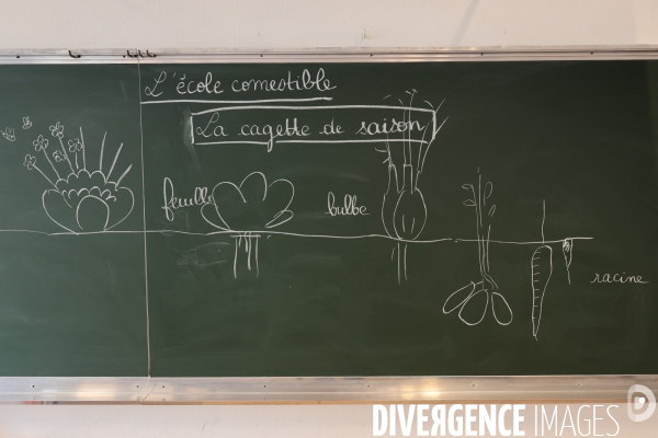 L école comestible - atelier a l ecole priimaire parmentier