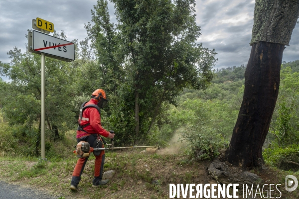 Elevage et Débroussaillage contre le feu