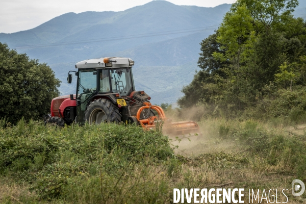 Elevage et Débroussaillage contre le feu