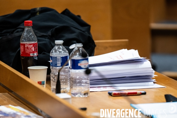 Albi  : proces cedric jubillar