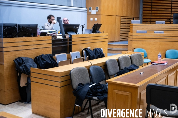 Albi : proces cedric jubillar