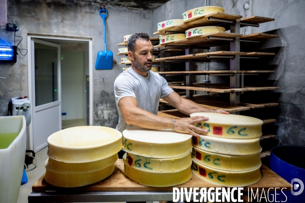Haute Savoie : de l éleveur au producteur de fromage d Abondance.
