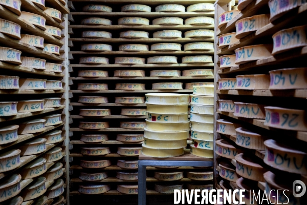 Haute Savoie : de l éleveur au producteur de fromage d Abondance.