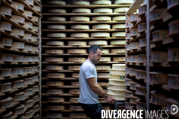 Haute Savoie : de l éleveur au producteur de fromage d Abondance.