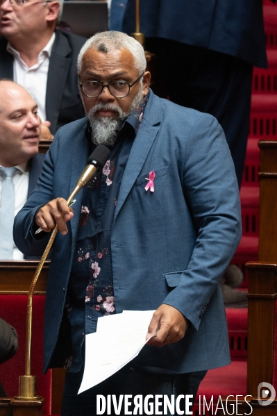 Assemblée nationale. 