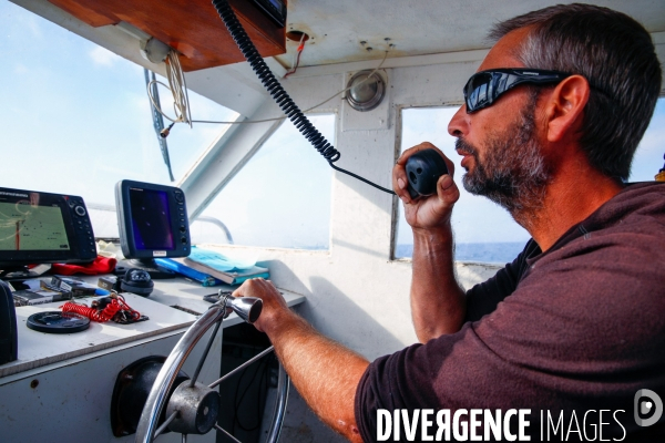 Peche durable du thon rouge de ligne en mediterranee