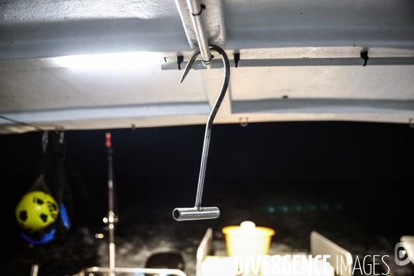 Peche durable du thon rouge de ligne / palangre en méditerranee