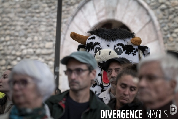 Dermatose Bovine. rassemblement contre l abattage total
