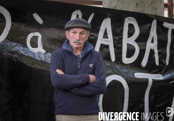 Dermatose Bovine. rassemblement contre l abattage total