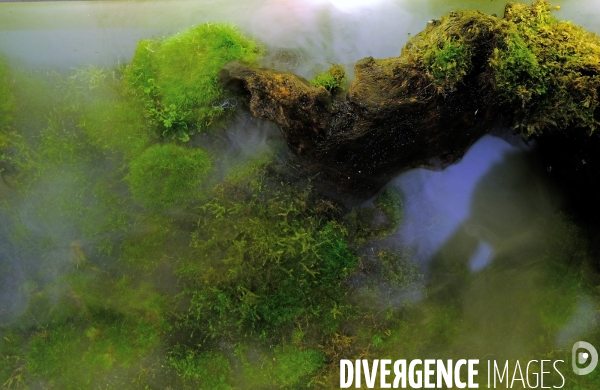 Au mois d Octobre 2025