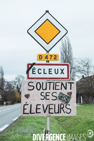 Dermatose nodulaire bovine et soutien aux eleveurs