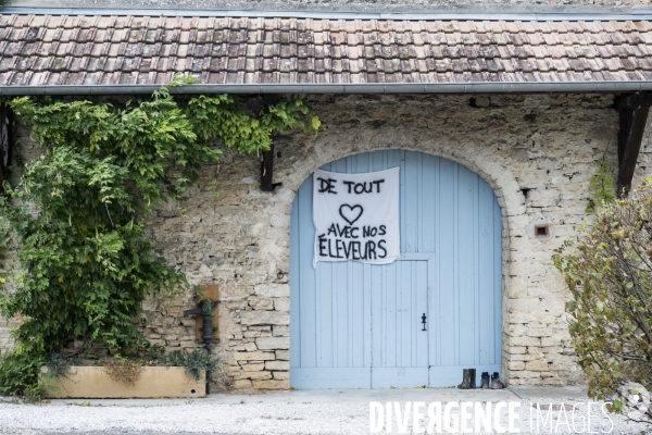 Dermatose nodulaire bovine et soutien aux eleveurs