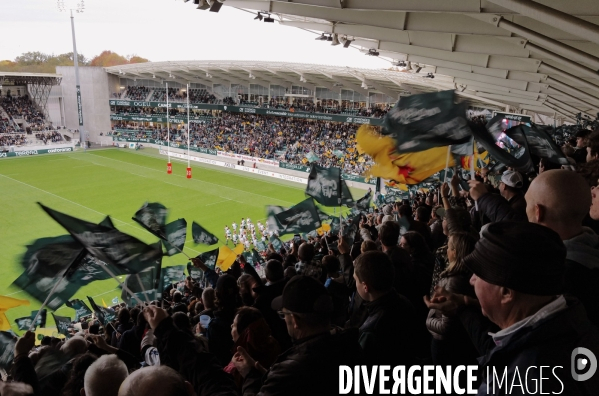 Supporteurs de rugby du TOP 14