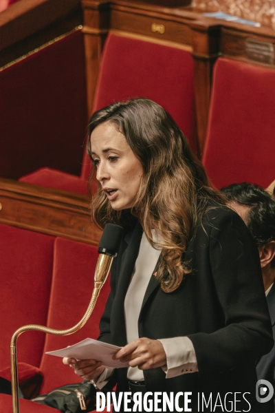 Assemblee nationale 04112025