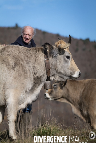 Dematose Bovine: L épée de Damoclès