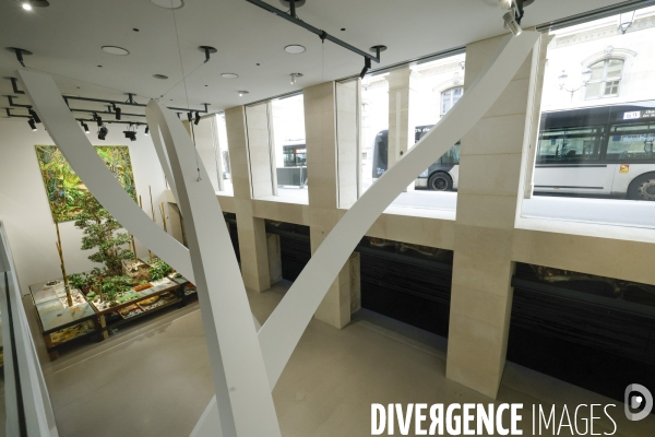 Fondation cartier  pour l art contemporain